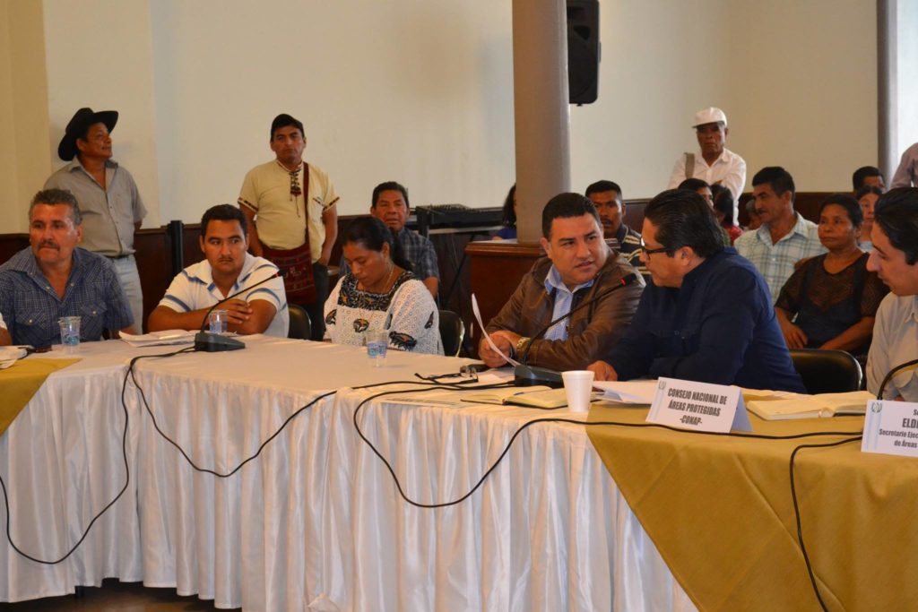 Viceministro de Ambiente, Alfonso Alonzo Vargas, se sorprende al mostrarles las imágenes de los desechos de la palma africana, que fueron cubiertos con tierra y arbustos para no evidenciar una posible contaminación. Foto: José A. Sian