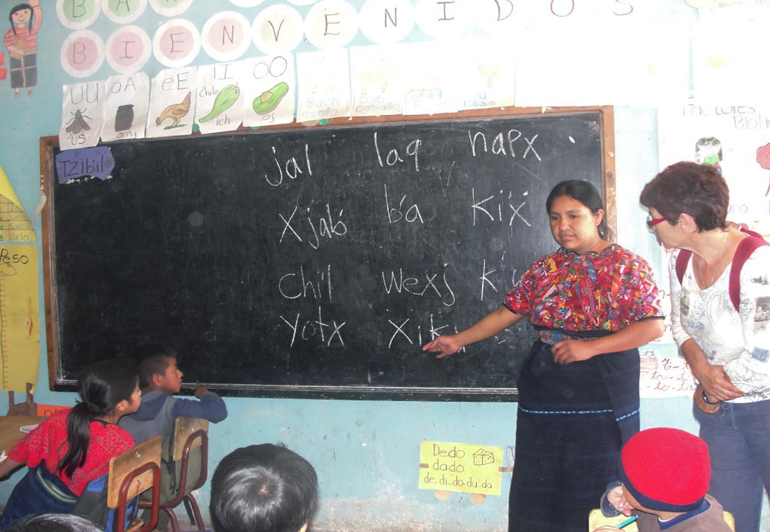 CC ampara educación bilingüe intercultural después de que se suplió la carrera del magisterio