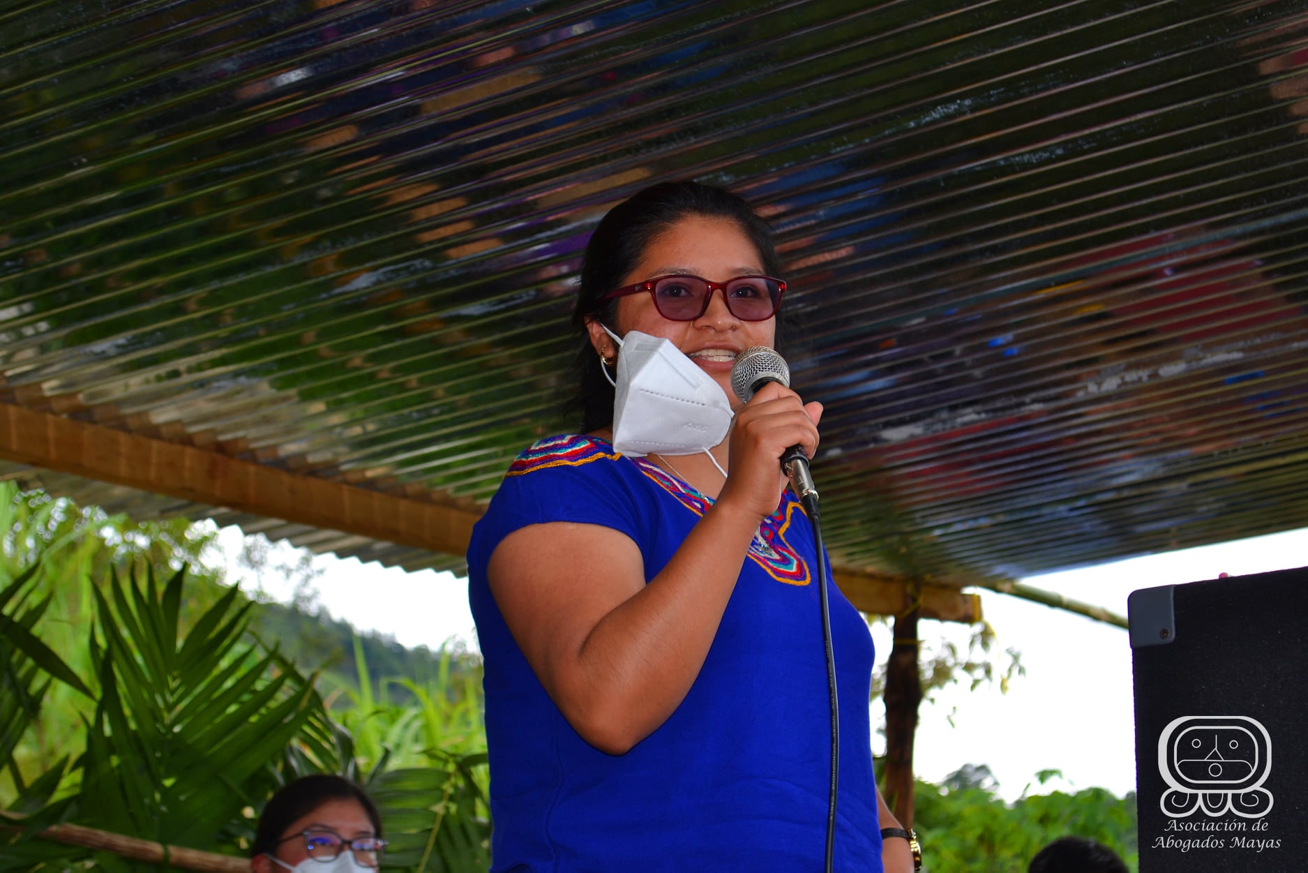 catastro chipacay 10