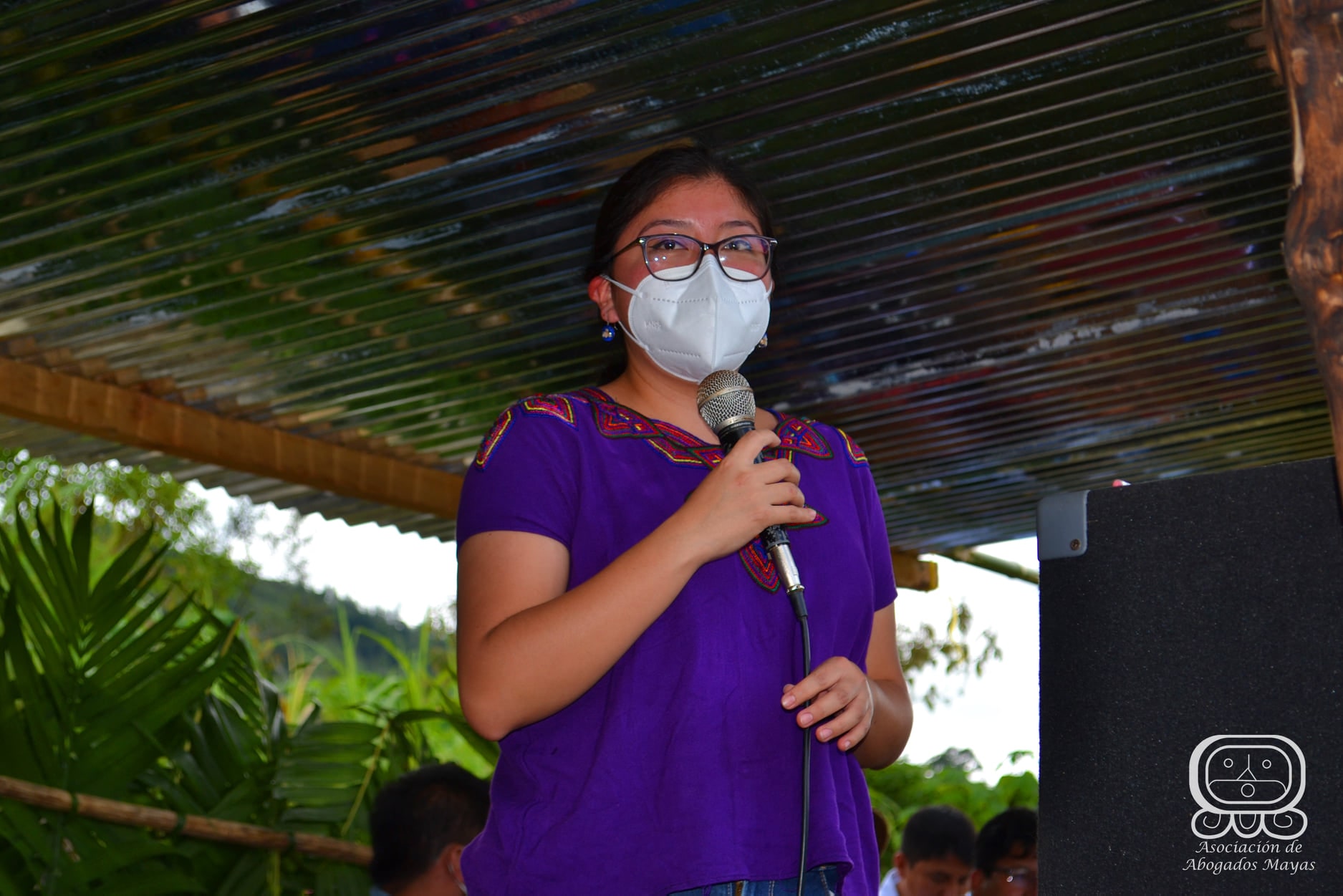 catastro chipacay 12