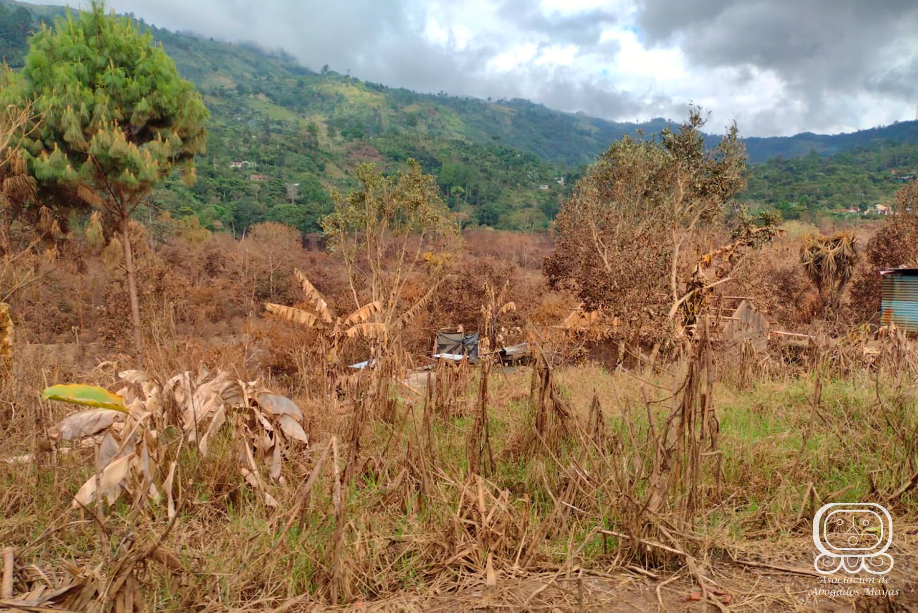 entrega de viveres comunidades qeqchi 7
