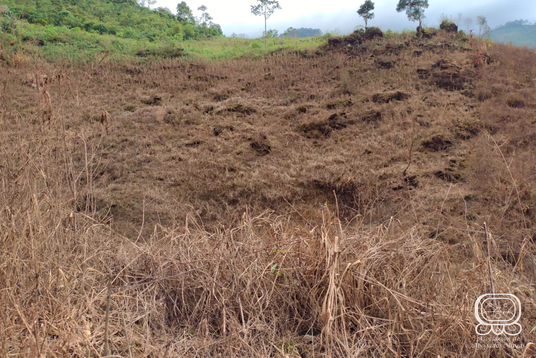 entrega de viveres comunidades qeqchi 8